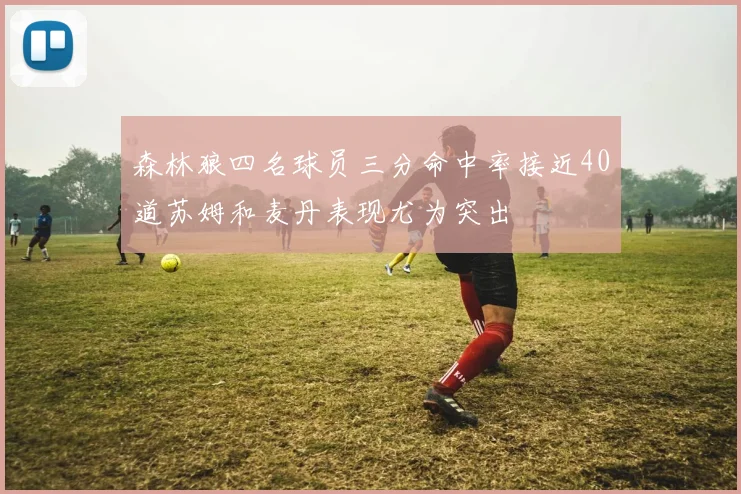 森林狼四名球员三分命中率接近40道苏姆和麦丹表现尤为突出